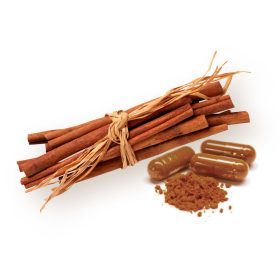 BioMenü BIO CEYLONI FAHÉJ kapszula 60 db