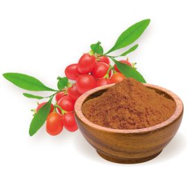 BioMenü BIO GOJI bogyó por 60 g